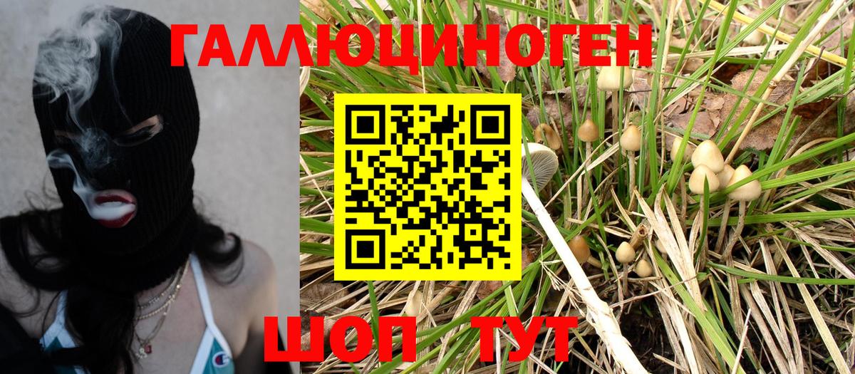 Псилоцибиновые грибы Cubensis  Псилоцибиновые грибы мицелий  Ефремов  Вход с VPN 