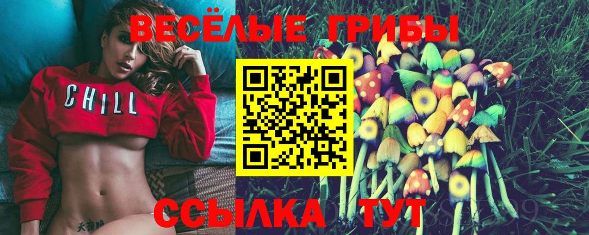 Псилоцибиновые грибы Magic Shrooms Ефремов